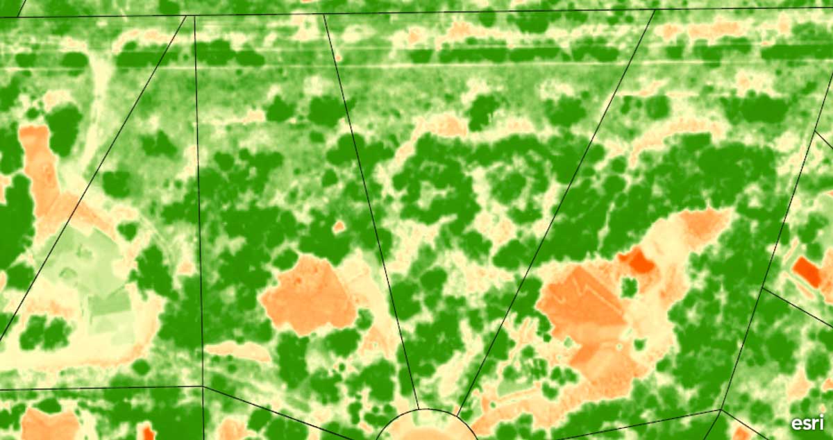 Vegetation Cover Map - 25424 Fairway View